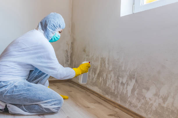 Crawl Space Mold Remediation treatment of floor joists in New Enterprise